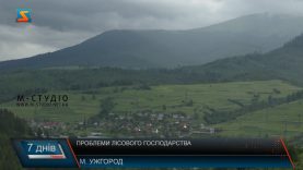 Проблеми лісового господарства