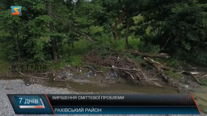 Вирішення сміттєвої проблеми