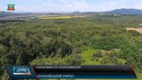 З можливістю розпаювання