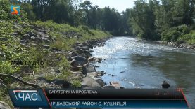 Багаторічна проблема