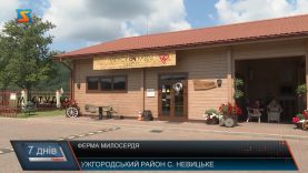 Ферма милосердя