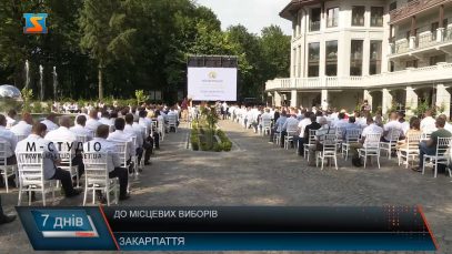 «Рідне Закарпаття»: думка політологів