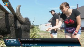 Відновлення туризму