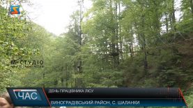 День працівника лісу. Відзначали професійне свято