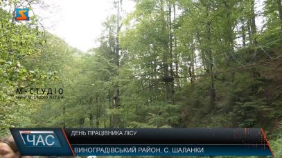 День працівника лісу. Відзначали професійне свято