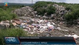 Екологічна небезпека