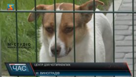 Центр для чотирилапих.  Контроль за безпритульними тваринами