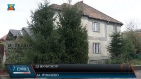 Доля гінекологічного відділення