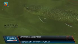 Форелеве господарство