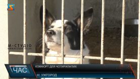 Комфорт для чотирилапих. В притулку  «Барбос» звели нові вольєри для тварин