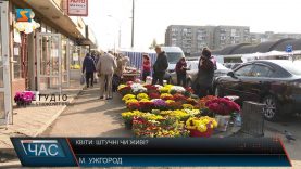 Квіти: штучні чи живі?