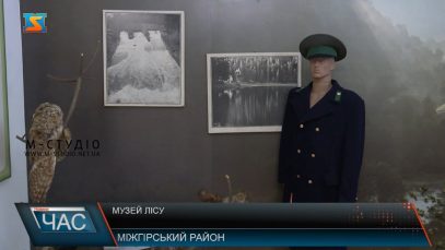 Музей лісу. Розвиток туризму у Вучківському лісництві