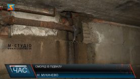 Сморід із підвалу. Проблеми мікрорайону