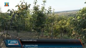 Унікальний сад. Екзотика на Закарпатті