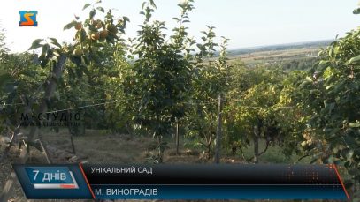 Унікальний сад. Екзотика на Закарпатті