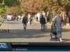Вибори близько. Покарання за фальсифікацію і підкуп
