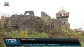Археологічні дослідження. Розкопки у Невицькому