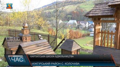 Карпатська школа бджільництва