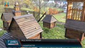 Карпатський мед