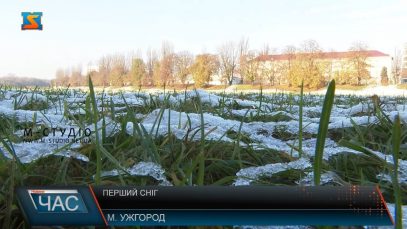 Зима не за календарем. Ужгородці про погоду