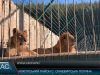 Зоопарк у горах.  Утримання екзотичних тварин не дешеве