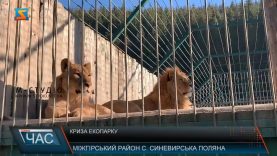 Зоопарк у горах.  Утримання екзотичних тварин не дешеве