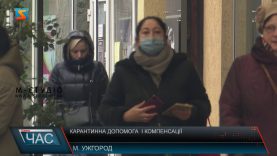 Карантинна допомога  і компенсації