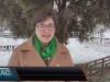 Передсвятковий конкурс. Прикрасити зелену красуню