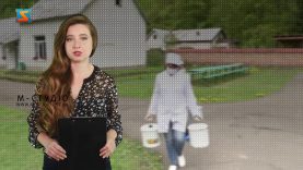 Переходимо в онлайн. Весняний карантин – як знак року