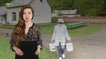 Переходимо в онлайн. Весняний карантин – як знак року