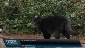 Шахрайство по телефону