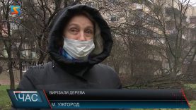 Вирізали дерева