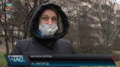 Вирізали дерева