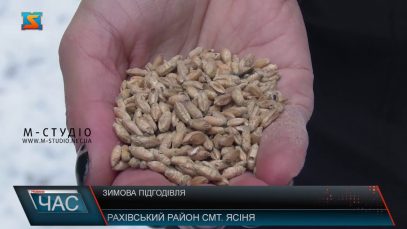 Зимова підгодівля. Допомога диким тваринам