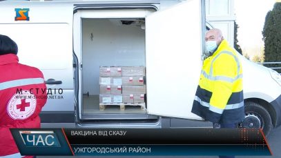 Передача вакцин. Щеплення від сказу