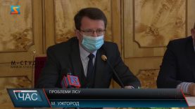 Проблеми лісу