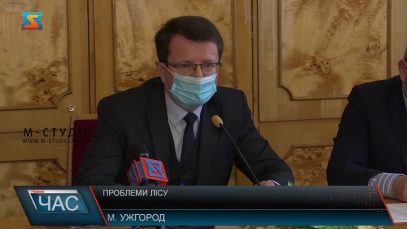 Проблеми лісу