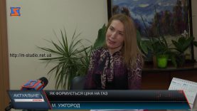 Програма Актуальне інтерв’ю.Газові питання