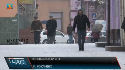 Відповідальні за сніг