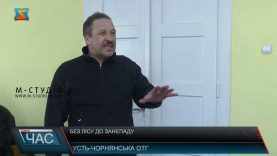 Без лісу до занепаду