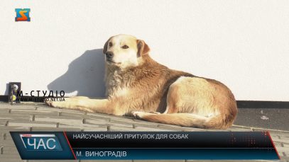 Найсучасніший притулок для собак