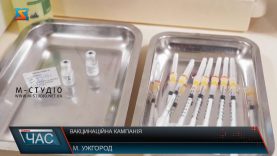 Вакцинаційна кампанія. Чи безкоштовні щеплення?