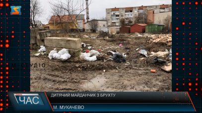 Купи сміття. Бездіяльність інстанцій