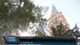 Освячення верби. Квітна неділя