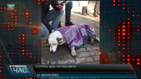 Отруїти, щоб пограбувати