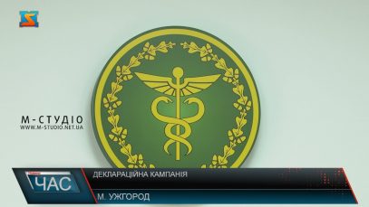 Деклараційна кампанія