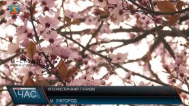 Флористичний туризм. Сезон розпочато