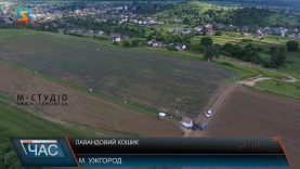 Лавандовий кошик. Гастрономічна презентація