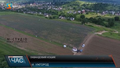 Лавандовий кошик. Гастрономічна презентація