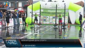 Міжнародний день спорту